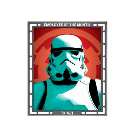 Schild Stormtrooper 40 x 22 cm