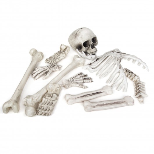 Knochen mit dekorativem Skelett
