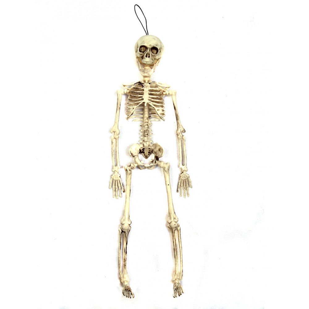 Skelett 40 cm