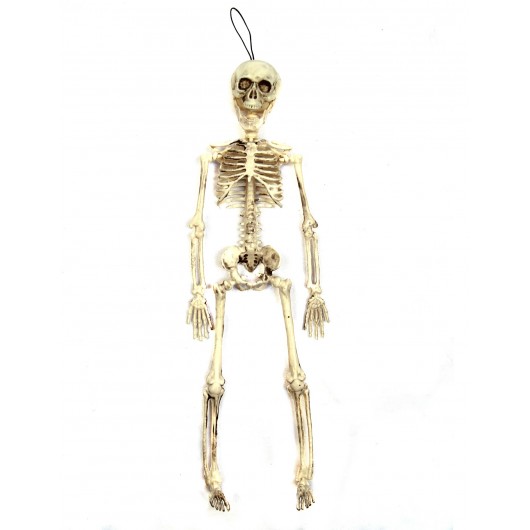 Skelett 40 cm