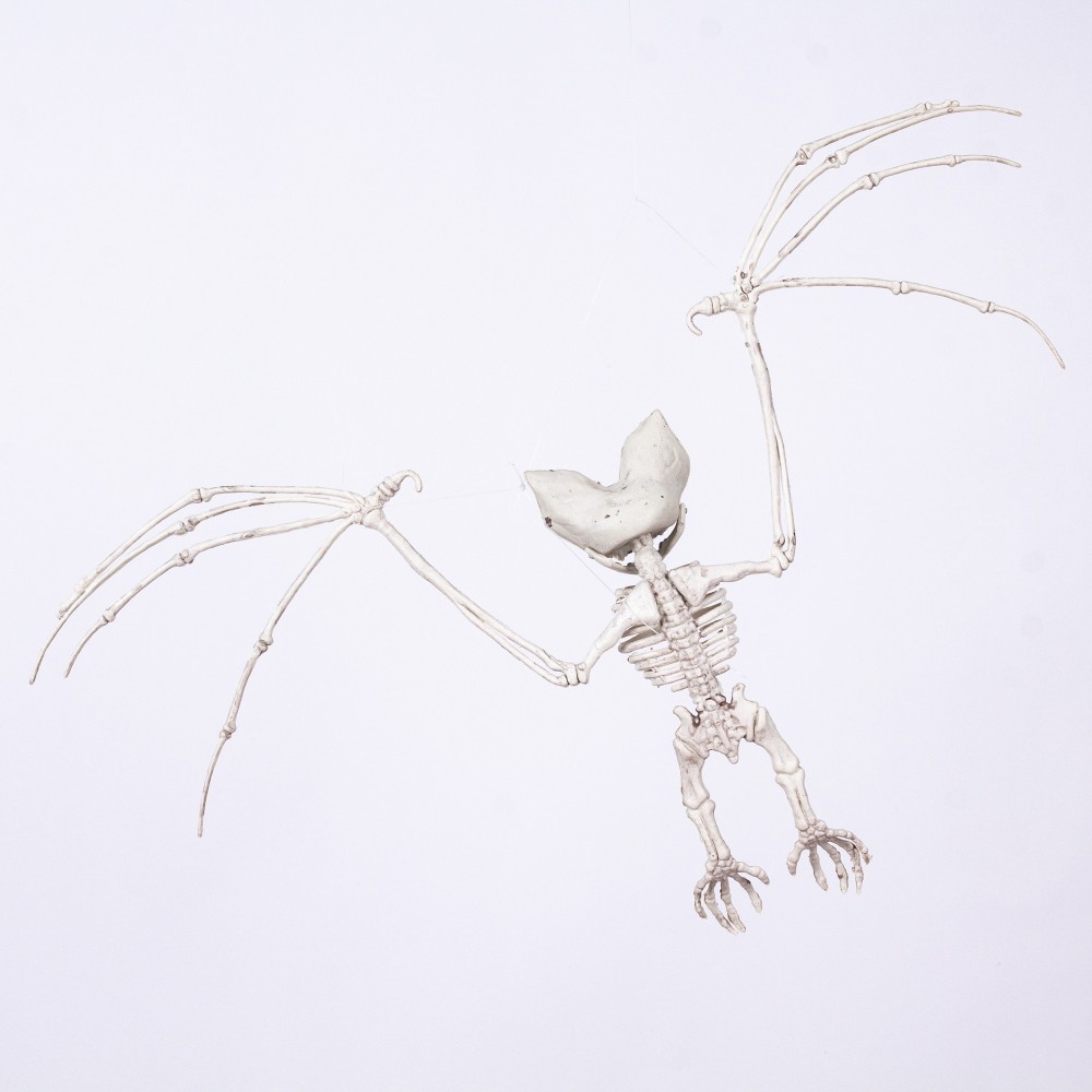 Skelett Fledermaus für Halloween kaufen » Kostümpalast