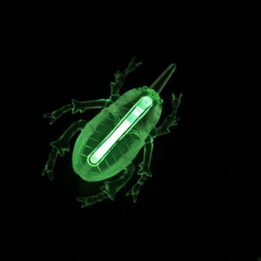 Beetle Glow 4,5 cm