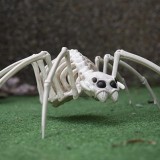 Spinnen und Spinnennetze für Halloween