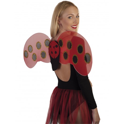 AILES COCCINELLE ADULTE