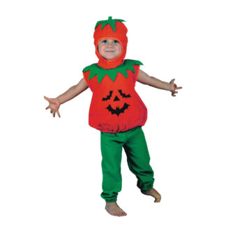 Disfraz de calabacita