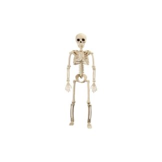 Calavera Decorativa 60 cm