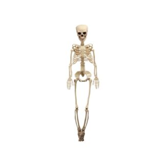 Calavera Decorativa 1 m