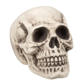 Calavera Cabeza Grande M