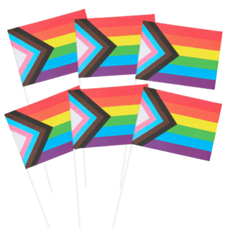 Set 6 banderas orgullo