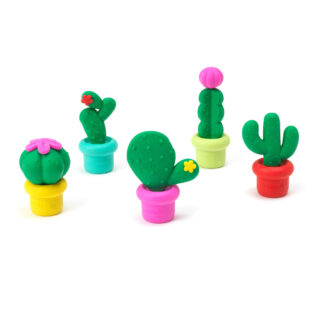 Set de 5 gomas perfumadas - Cactus